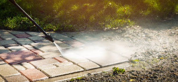 Best Parking Lot and Garage Cleaning  in Elkton, VA